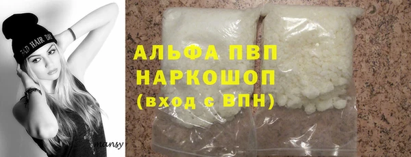 гашик Алексин