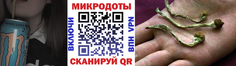 Псилоцибиновые грибы GOLDEN TEACHER Мещовск
